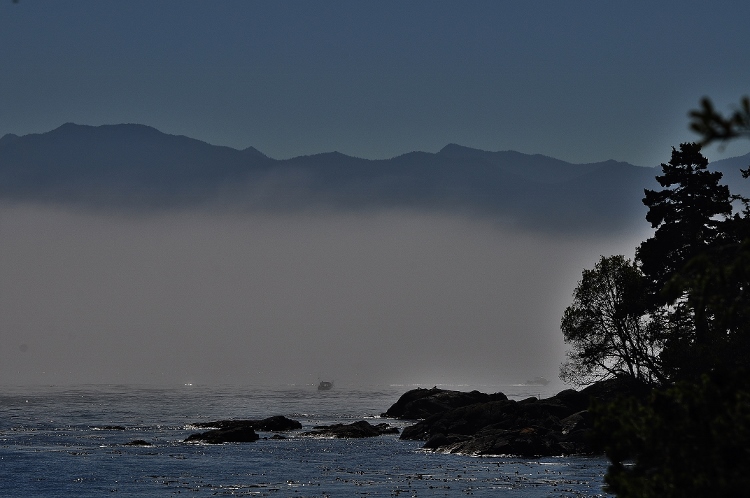 fog over water